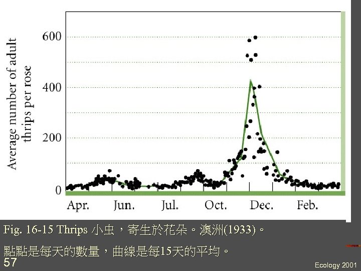 Fig. 16 -15 Thrips 小虫，寄生於花朵。澳洲(1933)。 點點是每天的數量，曲線是每 15天的平均。 57 Ecology 2001 