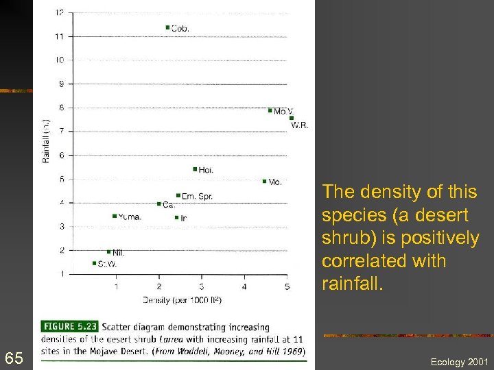 The density of this species (a desert shrub) is positively correlated with rainfall. 65