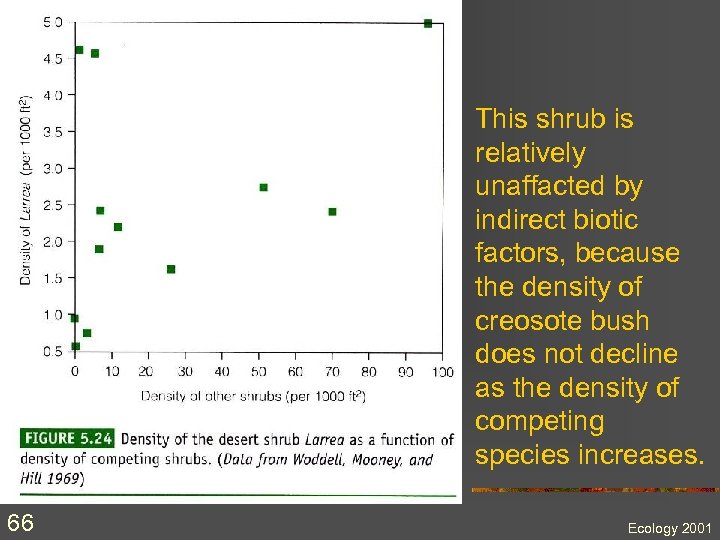 This shrub is relatively unaffacted by indirect biotic factors, because the density of creosote