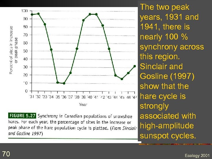 The two peak years, 1931 and 1941, there is nearly 100 % synchrony across