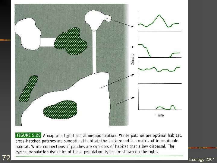 72 Ecology 2001 