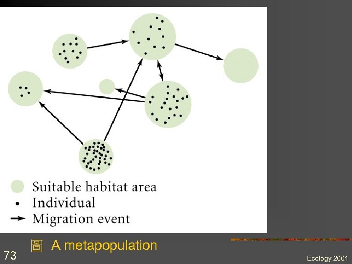 73 圖 A metapopulation Ecology 2001 