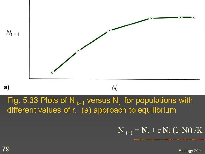 Fig. 5. 33 Plots of N t+1 versus Nt for populations with different values