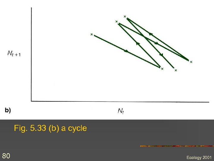 Fig. 5. 33 (b) a cycle 80 Ecology 2001 