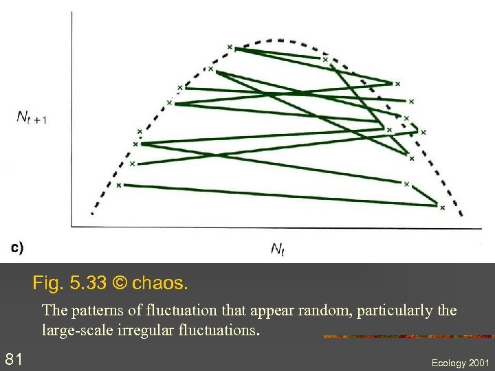 Fig. 5. 33 © chaos. The patterns of fluctuation that appear random, particularly the