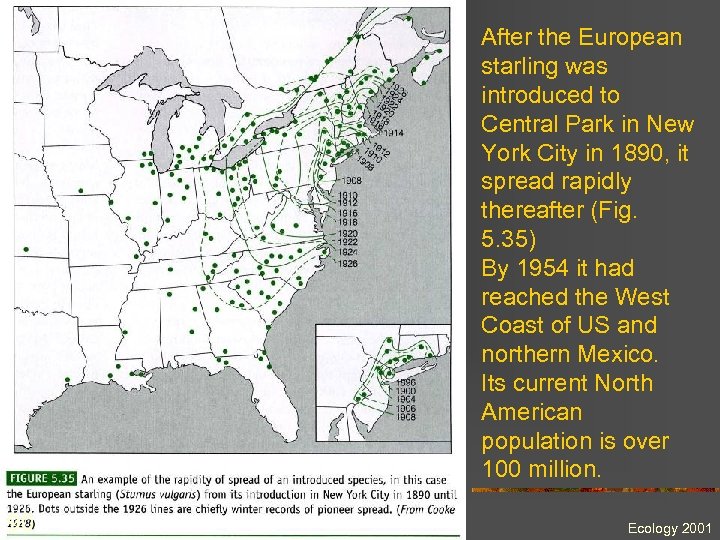 After the European starling was introduced to Central Park in New York City in