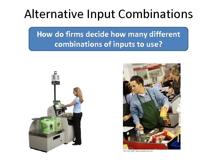 Alternative Input Combinations How do firms decide how many different combinations of inputs to