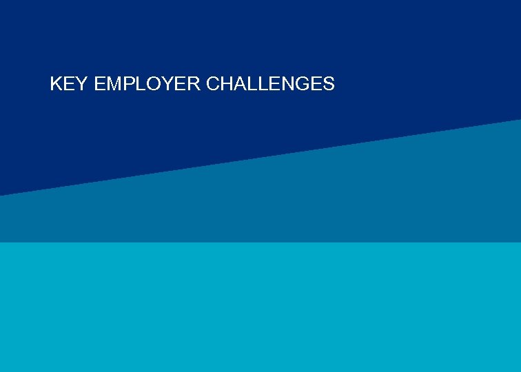 KEY EMPLOYER CHALLENGES MERCER 