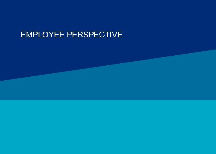 EMPLOYEE PERSPECTIVE MERCER 