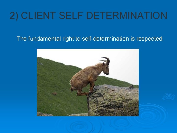 2) CLIENT SELF DETERMINATION The fundamental right to self-determination is respected. 