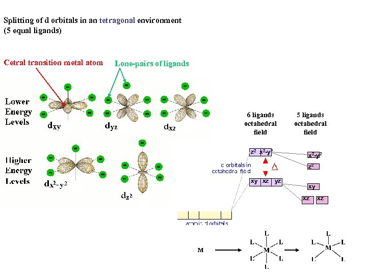 Splitting of d orbitals in an tetragonal environment (5 equal ligands) Cetral transition metal
