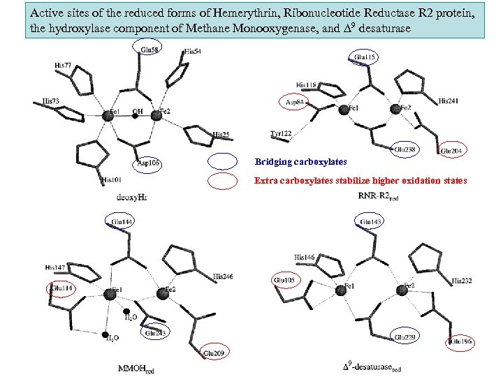Active sites of the reduced forms of Hemerythrin, Ribonucleotide Reductase R 2 protein, the