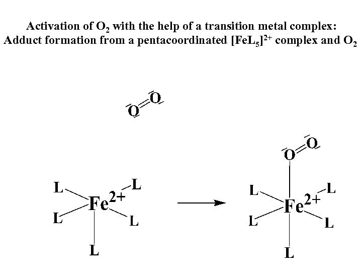 Activation of O 2 with the help of a transition metal complex: Adduct formation