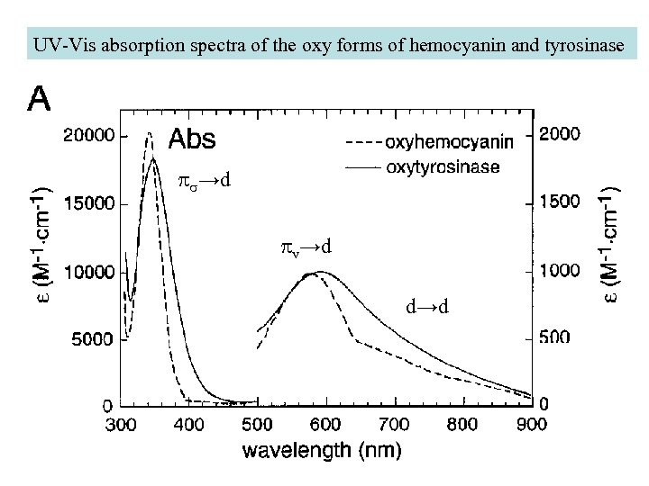 UV-Vis absorption spectra of the oxy forms of hemocyanin and tyrosinase ps→d pv→d d→d
