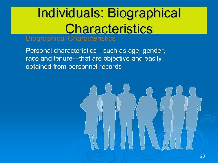 Individuals: Biographical Characteristics Personal characteristics—such as age, gender, race and tenure—that are objective and