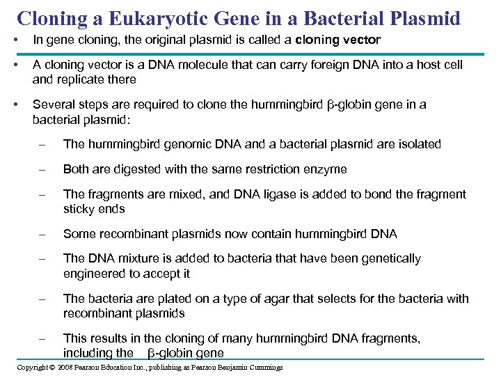 Cloning a Eukaryotic Gene in a Bacterial Plasmid • In gene cloning, the original