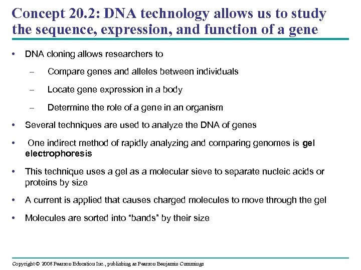 Concept 20. 2: DNA technology allows us to study the sequence, expression, and function