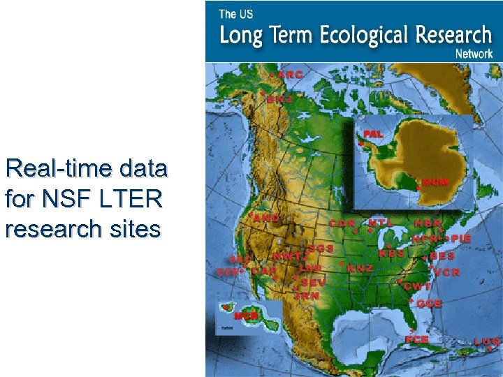 Real-time data for NSF LTER research sites 