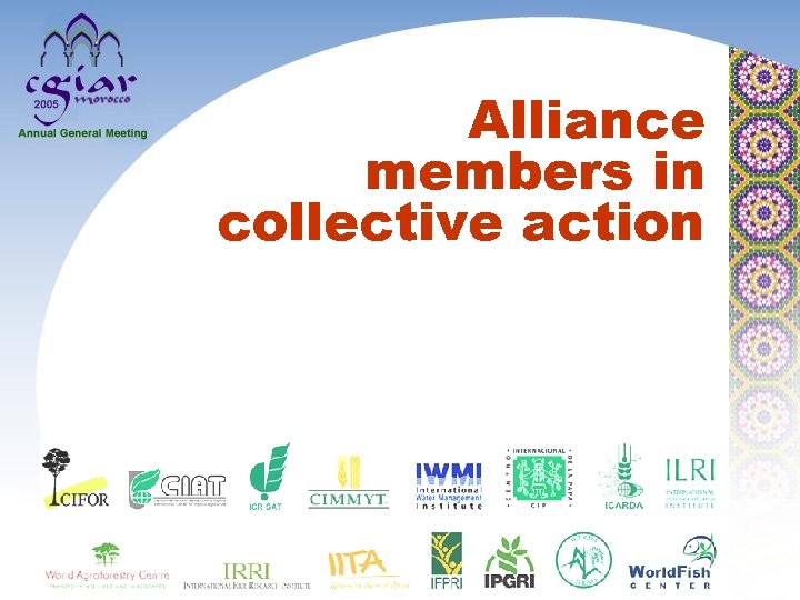 Alliance members in collective action 