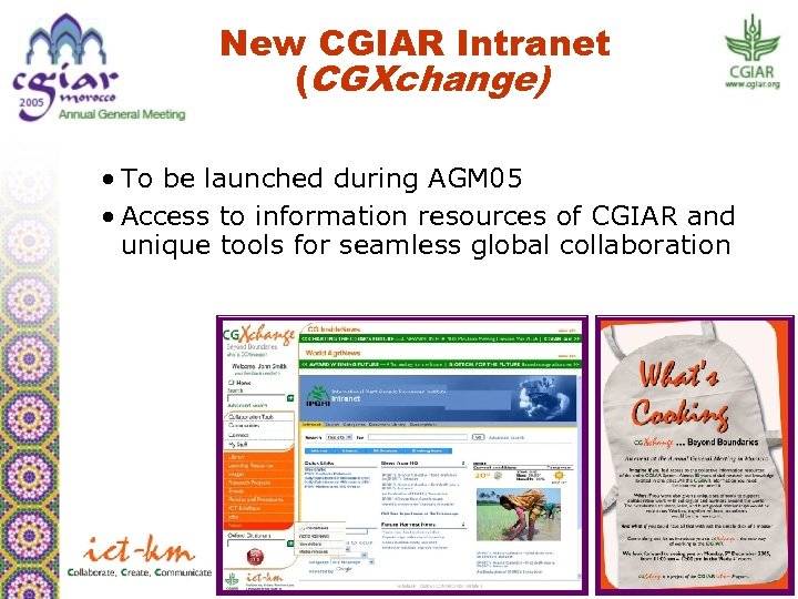New CGIAR Intranet (CGXchange) • To be launched during AGM 05 • Access to