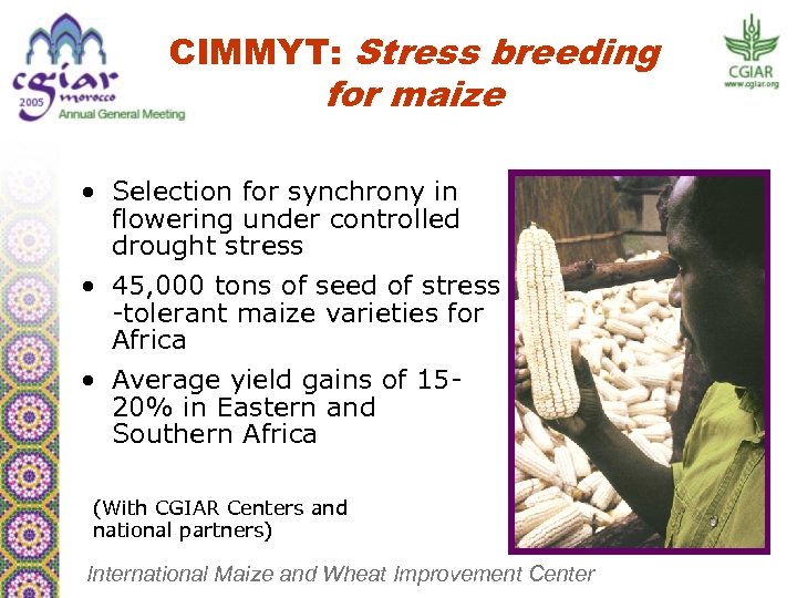CIMMYT: Stress breeding for maize • Selection for synchrony in flowering under controlled drought