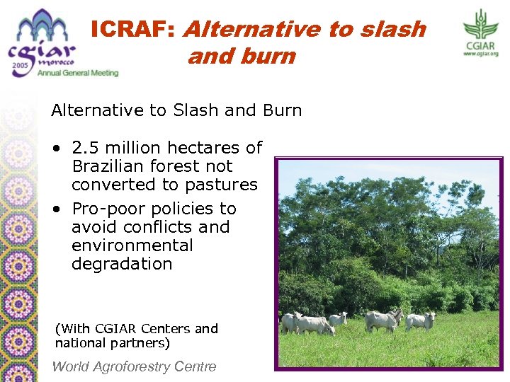 ICRAF: Alternative to slash and burn Alternative to Slash and Burn • 2. 5