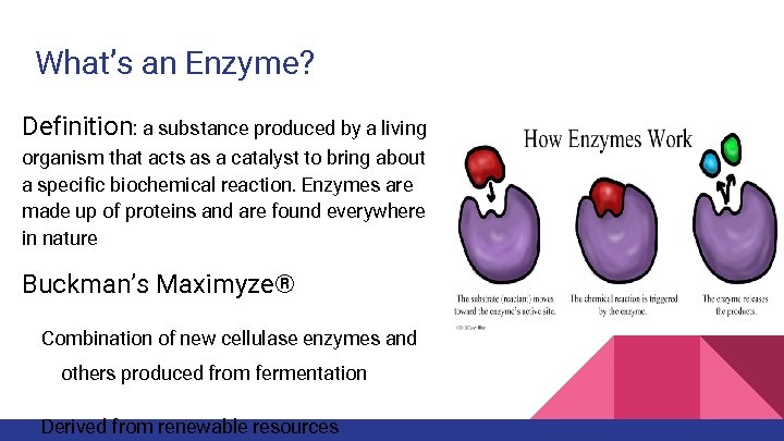 What’s an Enzyme? Definition: a substance produced by a living organism that acts as