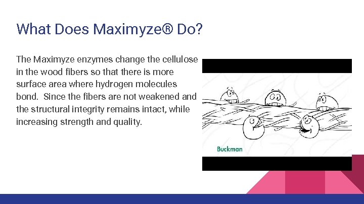 What Does Maximyze® Do? The Maximyze enzymes change the cellulose in the wood fibers