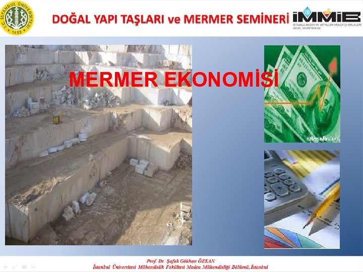 MERMER EKONOMİSİ 