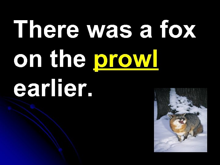 There was a fox on the prowl earlier. 