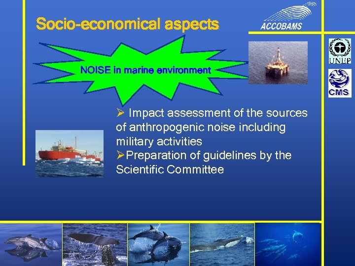 Socio-economical aspects NOISE in marine environment Ø Impact assessment of the sources of anthropogenic