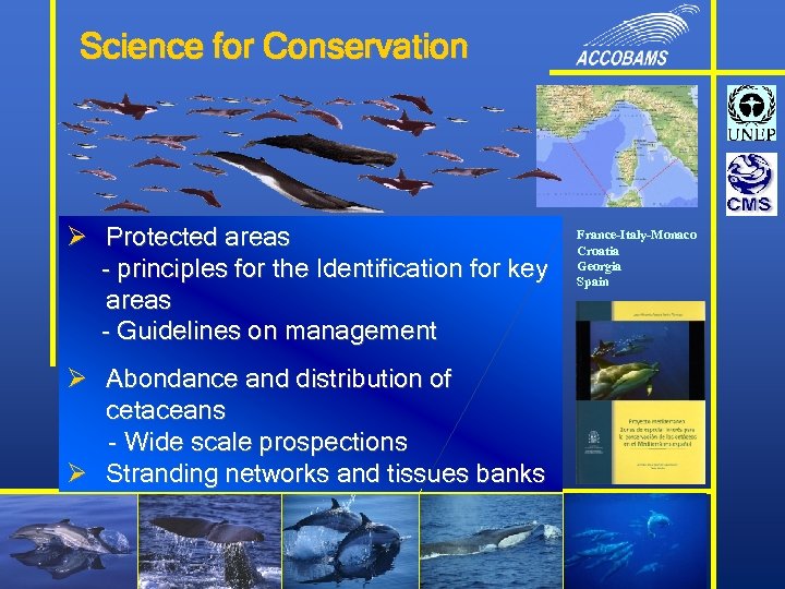 Science for Conservation Ø Protected areas - principles for the Identification for key areas