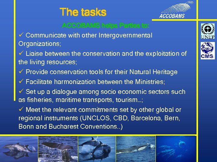 The tasks ACCOBAMS helps Parties to: ü Communicate with other Intergovernmental Organizations; ü Liaise