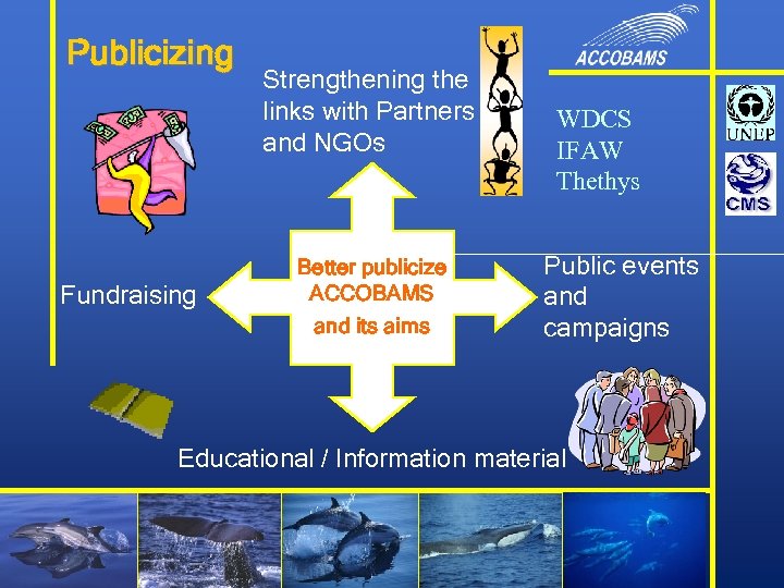 Publicizing Fundraising Strengthening the links with Partners and NGOs Better publicize ACCOBAMS and its