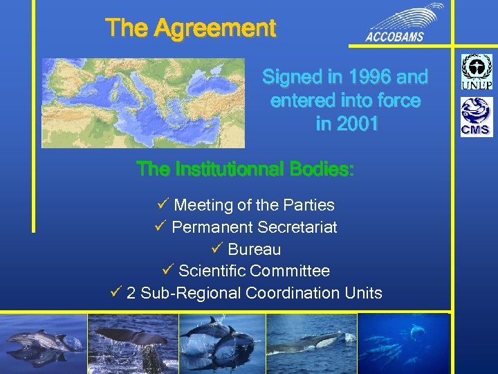 The Agreement Signed in 1996 and entered into force in 2001 The Institutionnal Bodies: