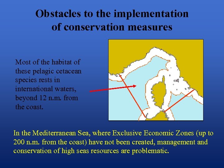 Obstacles to the implementation of conservation measures Most of the habitat of these pelagic