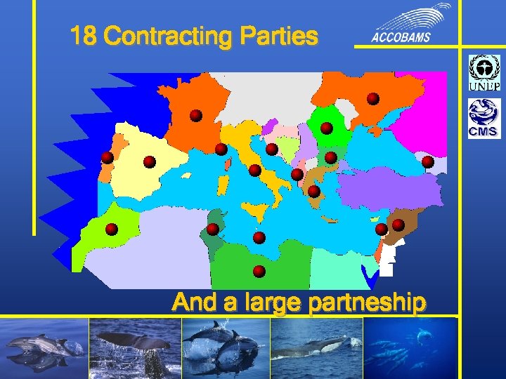 18 Contracting Parties And a large partneship 