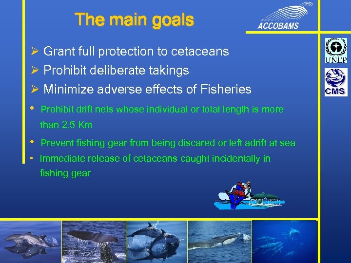 The main goals Ø Grant full protection to cetaceans Ø Prohibit deliberate takings Ø