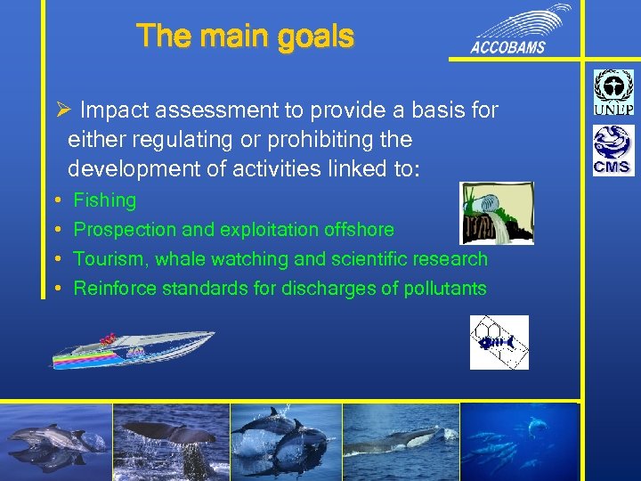 The main goals Ø Impact assessment to provide a basis for either regulating or