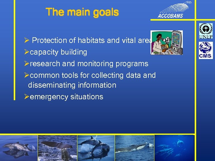 The main goals Ø Protection of habitats and vital areas Øcapacity building Øresearch and