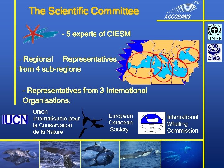 The Scientific Committee - 5 experts of CIESM - Regional Representatives from 4 sub-regions