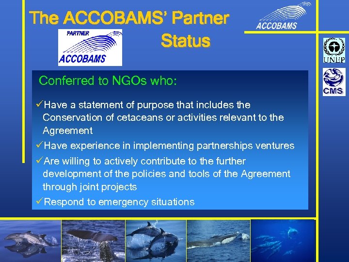 The ACCOBAMS’ Partner Status Conferred to NGOs who: üHave a statement of purpose that