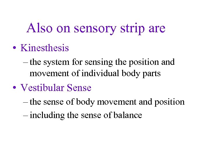 Also on sensory strip are • Kinesthesis – the system for sensing the position