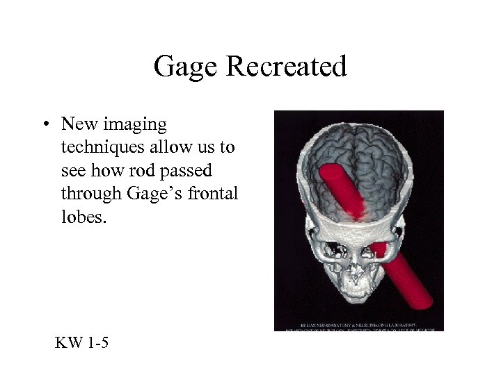 Gage Recreated • New imaging techniques allow us to see how rod passed through