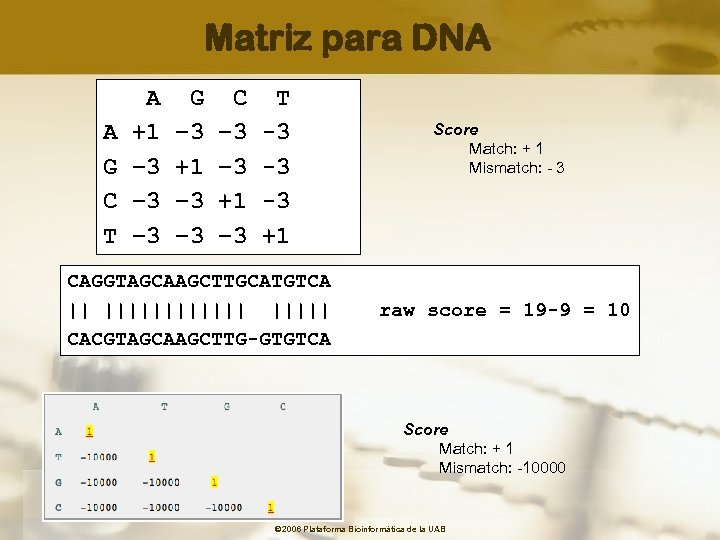 Matriz para DNA A G C T A +1 – 3 -3 G –