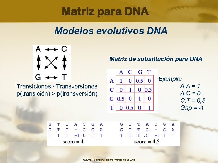 Matriz para DNA Modelos evolutivos DNA Matriz de substitución para DNA Transiciones / Transversiones