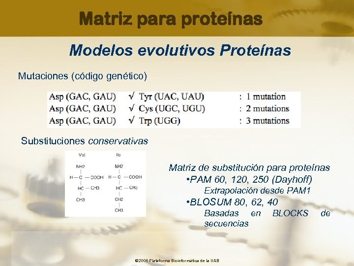 Matriz para proteínas Modelos evolutivos Proteínas Mutaciones (código genético) Substituciones conservativas Matriz de substitución