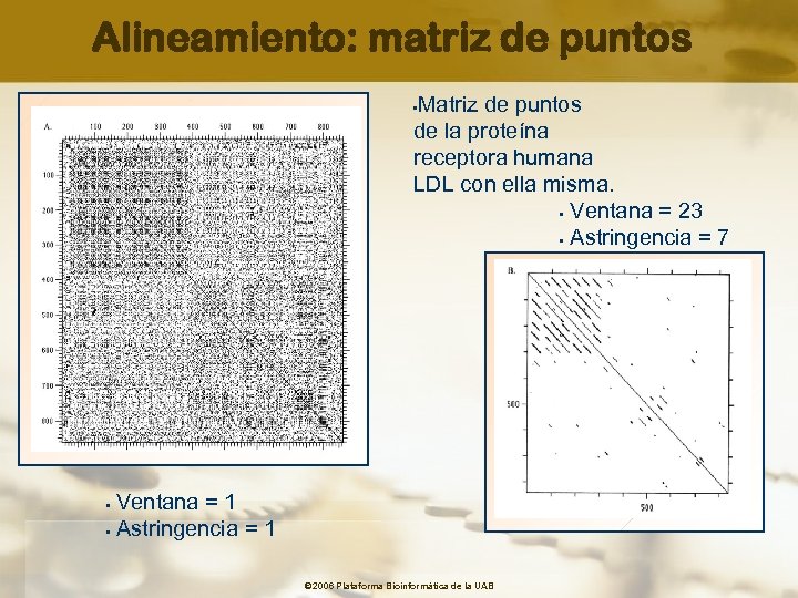 Alineamiento: matriz de puntos Matriz de puntos de la proteína receptora humana LDL con