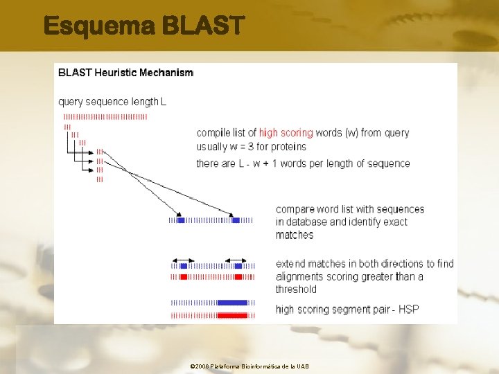 Esquema BLAST © 2006 Plataforma Bioinformàtica de la UAB 