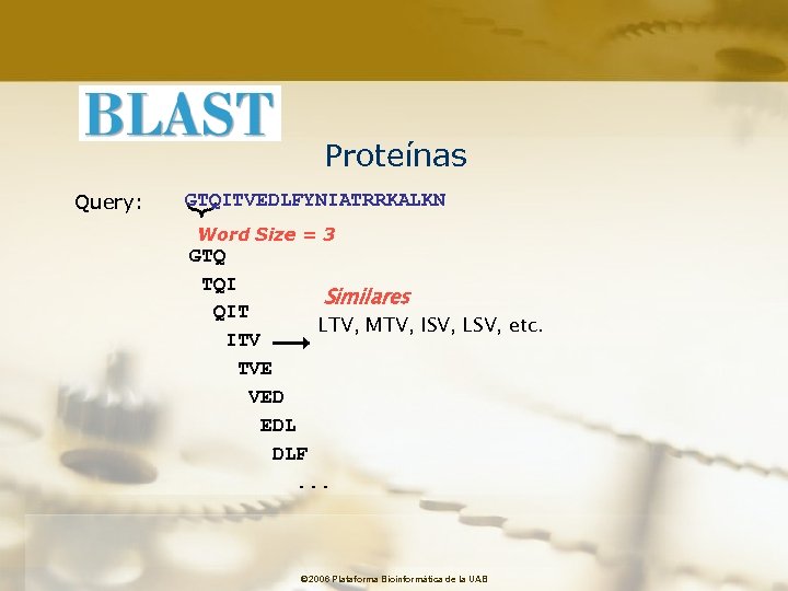 Proteínas Query: GTQITVEDLFYNIATRRKALKN Word Size = 3 GTQ TQI Similares QIT LTV, MTV, ISV,